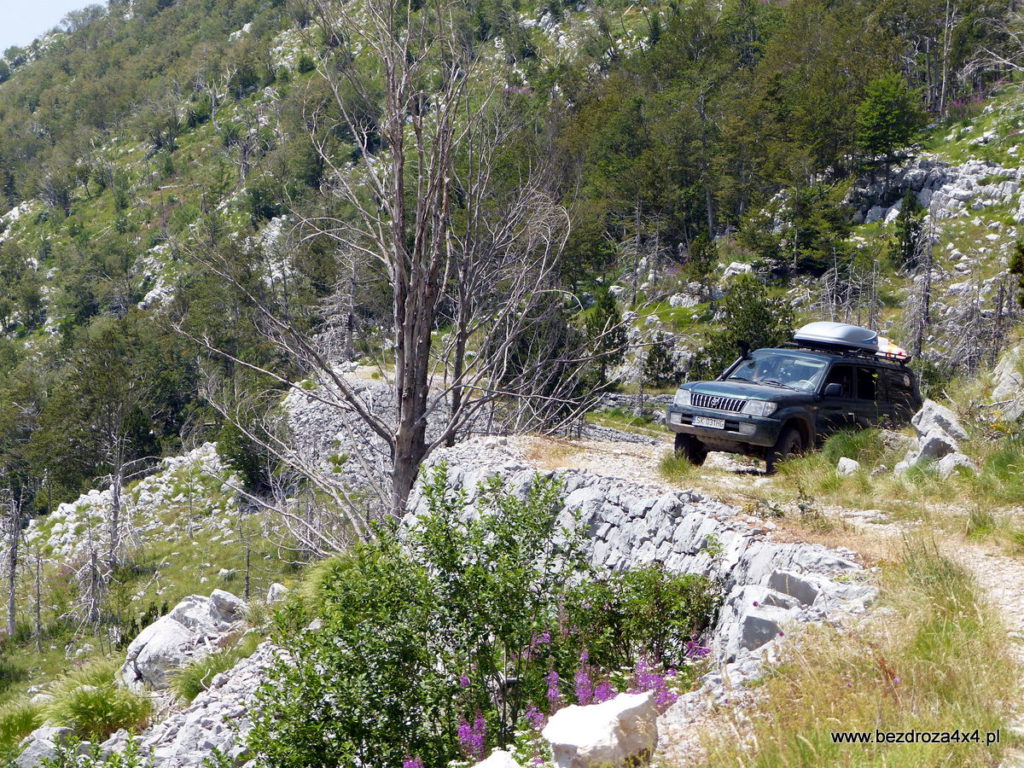 Czarnogóra - wymagająca trasa w górach
