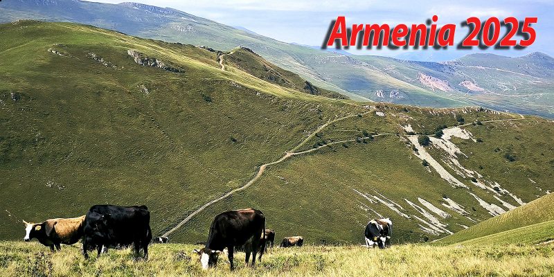 Armenia 4x4